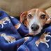 Heather Kiger - Facebook