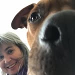 Heather Killen - @heather.killen - Instagram
