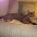 Heather Kilpatrick - Facebook