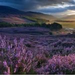 Heather Kirkham - @bloomingheth - Instagram
