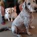 Heather Kirkham - Facebook