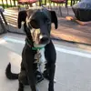 heatherklemens - @heatherklemens - TikTok