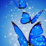 Heather Klinger - @heatherwilson7053 - Instagram