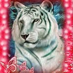 Heather Knapton - Facebook