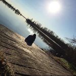 heather knighton - @h3at.15 - Instagram