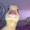 heather Knighton - @heatherknighton7 - TikTok