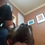 Heather Kokkinen - @heatherkokkinen - Instagram