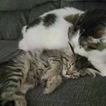Heather Dotterweich Koons - @mrs.koons - Instagram