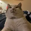 Heatherkrick - @buttholeburrito2244 - TikTok