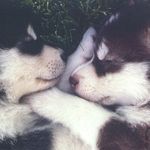 heather may ames labonte - @1233heathermay - Instagram