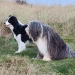 Heather Laing - @heather.laing.14 - Instagram