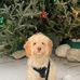 Heather Lamorie - Facebook