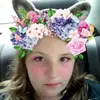 Heather Fitzpatrick-Lance - @thealphawolfgirl - TikTok