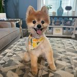 Heather Lauer - @hlauer83 - Instagram