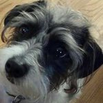 Heather Mc Laughlin - @cakebakingwoman - Instagram