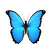 Hi🦋 - @lavenderrheatherr - TikTok