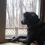Heather LeDoux - @peteheatherledoux - Instagram