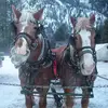 heatherledoux358 - @heatherledoux358 - TikTok