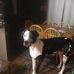 Heather Leeman - Facebook