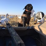 Heather Leland - @hleland1 - Instagram