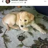Heather Lesko Hill - @heather1357911 - TikTok