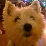 Heather Leslie - @heather.leslie.378 - Instagram
