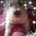 Heather Leslie - Facebook