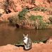 Heather Letts - Facebook