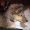 heatherlitzebauer - @heatherlitzebauer - TikTok