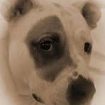Heather Lockard - Facebook