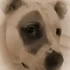 heatherlockard639 - @heatherlockard639 - TikTok