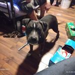 Heather Logsdon - @logsdon4271 - Instagram
