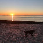 Heather Linstad - Facebook