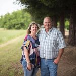 Heather Macfarlane Thomas - @thomashaylivestock - Instagram