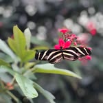 heather - @heather.maddison25 - Instagram