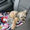 heathermalott893 - @olliesworld01 - TikTok