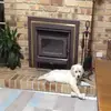 heather browny - @mango_heather_28 - TikTok