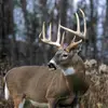 Heather Manns219 - @heathermanns1 - TikTok