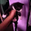 heather Marr's 2020 - @heather.marrs.202 - TikTok