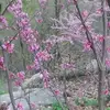 heathermartel32 - @heathermartel32 - TikTok