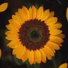 Heather Matheson - @heathermatheson2 - TikTok