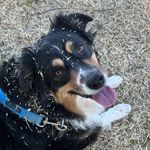 Heather Mathias - @hmwickeddesigns - Instagram