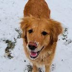 Heather Mathias Sutton - @hlmj2001 - Instagram