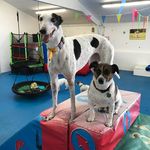 heather maxwell - @heathermaxwell5545 - Instagram