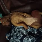 Heather Bryant Mcafee - @heather.b.mcafee - Instagram