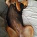 Heather Mcafee - Facebook