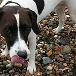 Heather McAlpine - @alishamcalpine2010 - Instagram