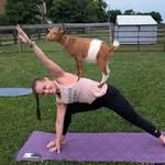 Heather McAtee - @penguinole66 - Instagram