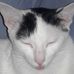 Heather McConkey - Facebook