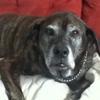 DrHall617 - @heathermccumber3 - TikTok